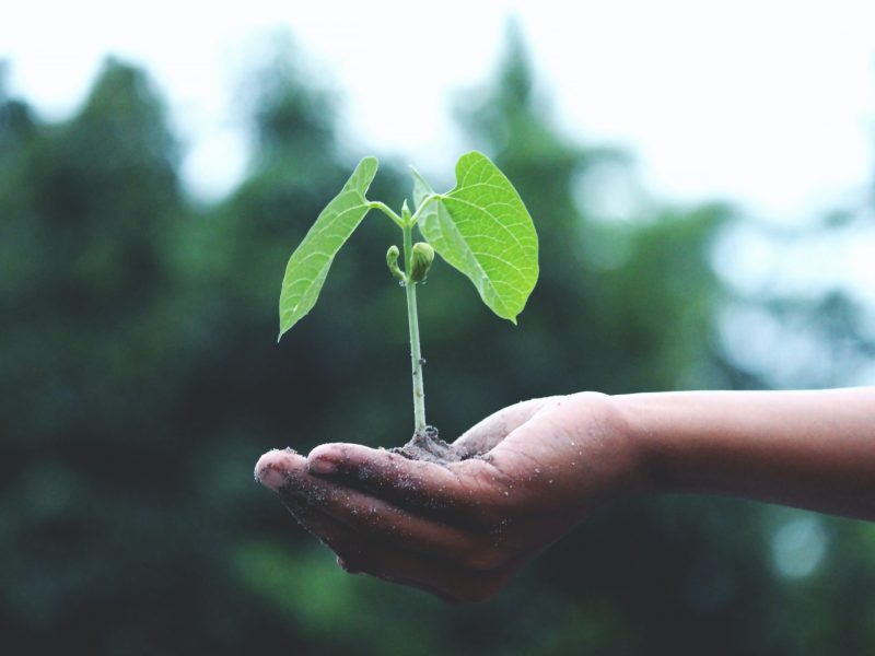 Comprometidos con el medio ambiente